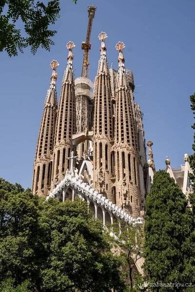 Barcelona | Žába na tripu