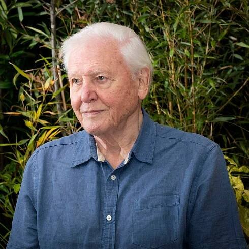 David Attenborough Urges Leaders at COP26 Summit to ‘Rewrite Our Story’