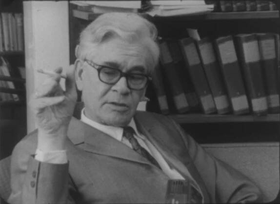 Die Filme von Peter und Zsóka Nestler – Jugend ohne Film