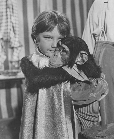 Toby Tyler (1960)