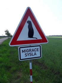 Speciální dopravní značky upozorňující na migraci syslů. | iROZHLAS - spolehlivé zprávy