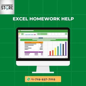 Pay Someone to do Excel Homework : Assignmentstore