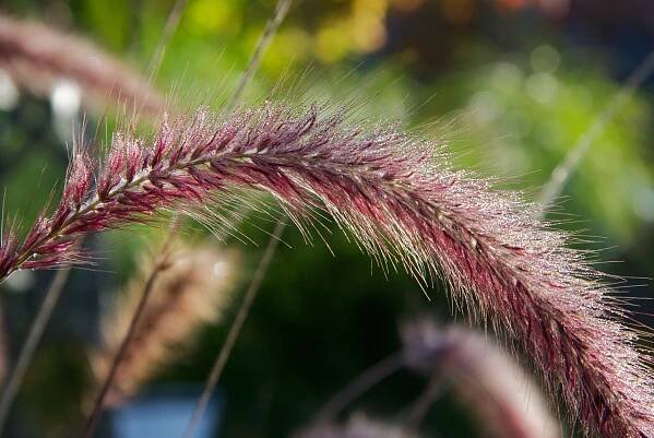 Contact Us — East Bay Nursery