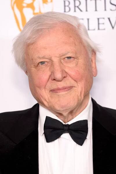 Sir David Attenborough – key moments in his career so far - Discover Wildlife