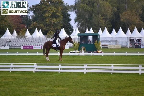 Strnadová MS Lion d'Angers 2015 nedokončila | Jezdci.cz