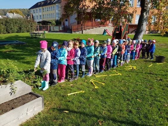 Podzimní sklizeň - ZŠ a MŠ Dubicko