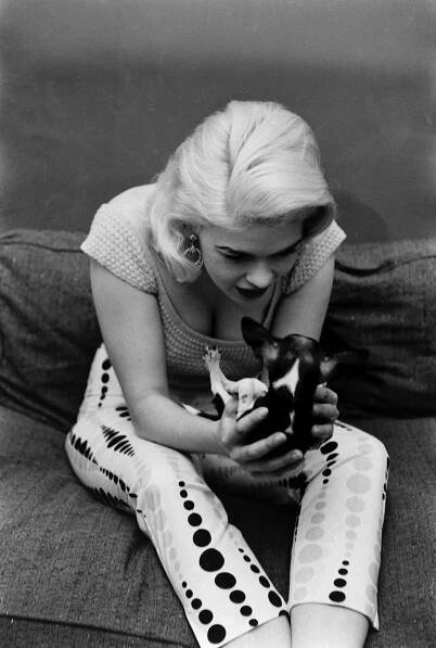 Jayne Mansfield 1956