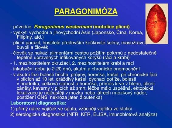PPT - Základy parazitologie PowerPoint Presentation, free download - ID:283192