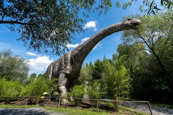 PODÍVEJTE SE: Unikátní svět dinosaurů u Ostravy volá: Návštěvníci, vraťte se!