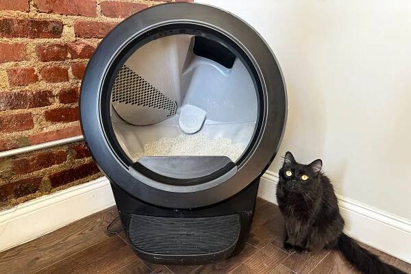 The Litter-Robot 4 Is the Best of the 23 Automatic Litter Boxes We've Tested