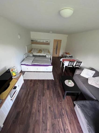 a large room with two beds and a couch at Apartmán u Tesáka - Říčky v Orlických horách in Říčky