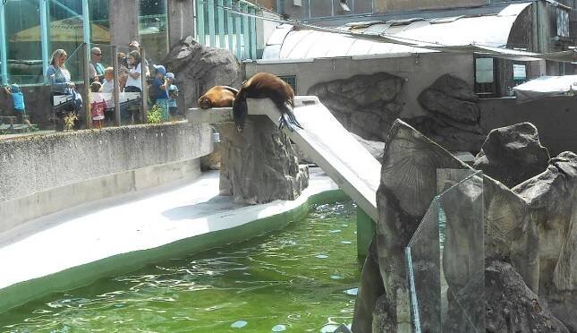Liberec 1: Zoologická zahrada