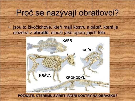 PPT - Anotace PowerPoint Presentation, free download - ID:3804401