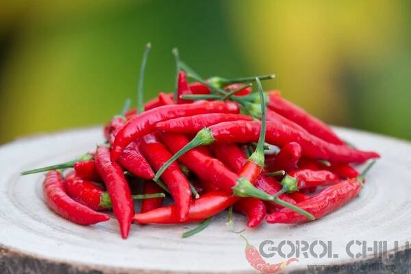 Piri Piri
