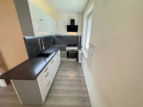 Prodej bytu 2+1 42 m², Karla Marxe, Most