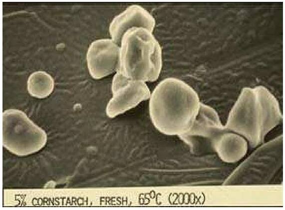 Artificial microRNA Research Papers - Academia.edu