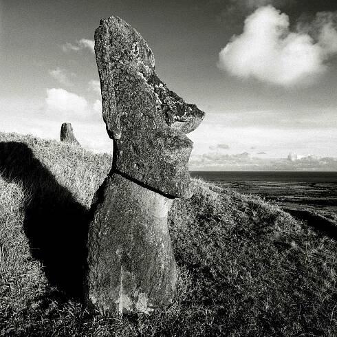 Moai at Ranu Raraku II