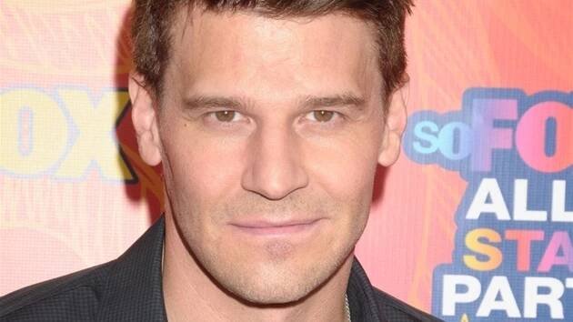 David Boreanaz (42), herec a režisér. Objevil se ve filmech Valentine, Liga