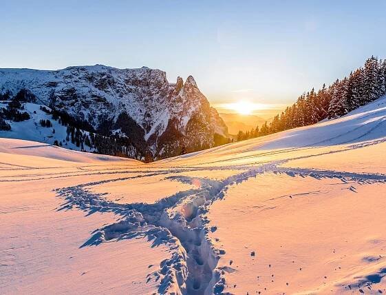 Schnee