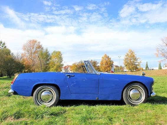 Austin Healey | Autogalerie