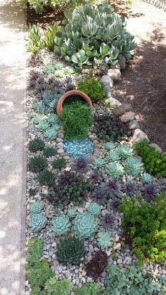 HugeDomains.com | Low water landscaping, Rock garden landscaping, Succulents garden