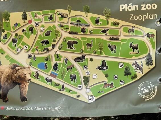 Zoo Děčín zachycena na vlajkový Huawei Pura 70 Pro – Infoek.cz