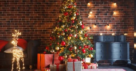 Vánoce 2023: Galerie nejkrásnějších vánočních stromků, které vás učarují