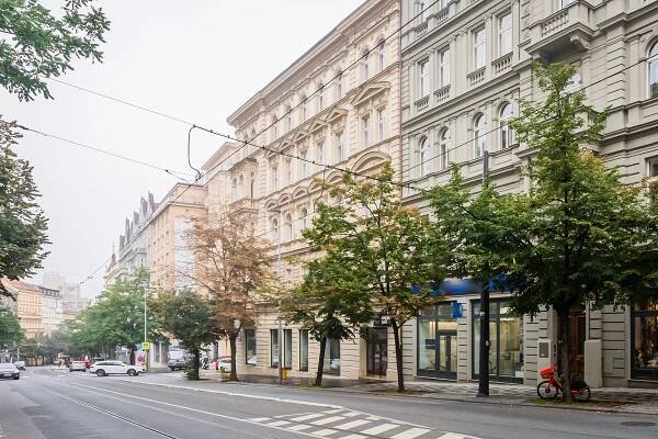 Vinohradská, Vinohrady - Praha 2 | Pronájem, Obchodní prostor, 339 m²