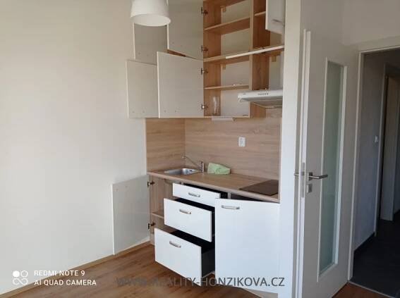 Pronájem, byt 1+kk+B, 43m2, ul. Bolevecká, Plzeň - město