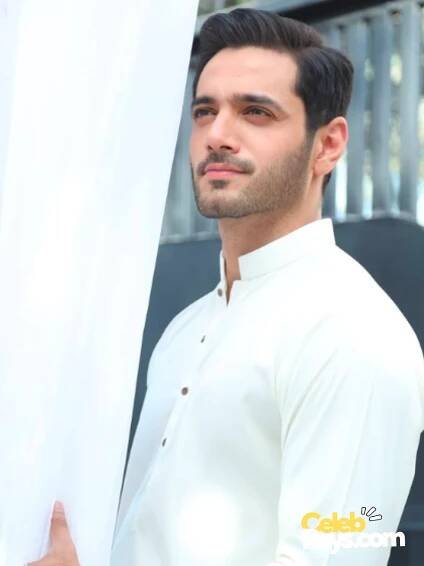 Wahaj Ali Wiki