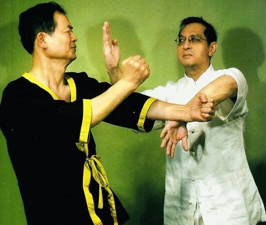 GM Leung Ting and GM Cheng Chuen Fun