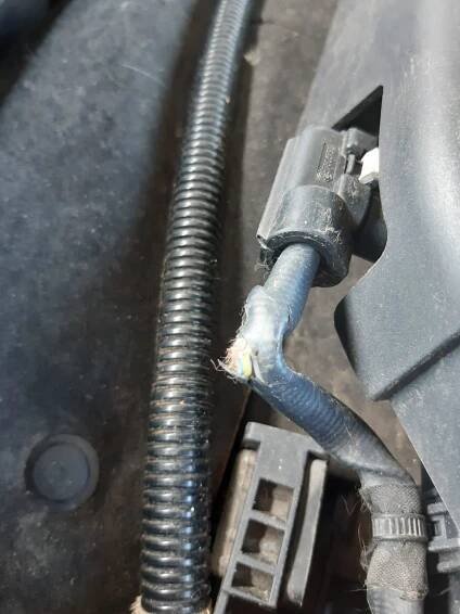 Překousnutý kabel - 5 F10/F11 - Fórum - BMW klub