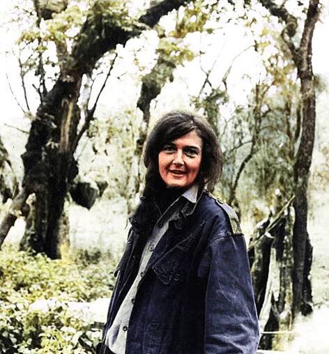 Dian Fossey Biography and Gorillas