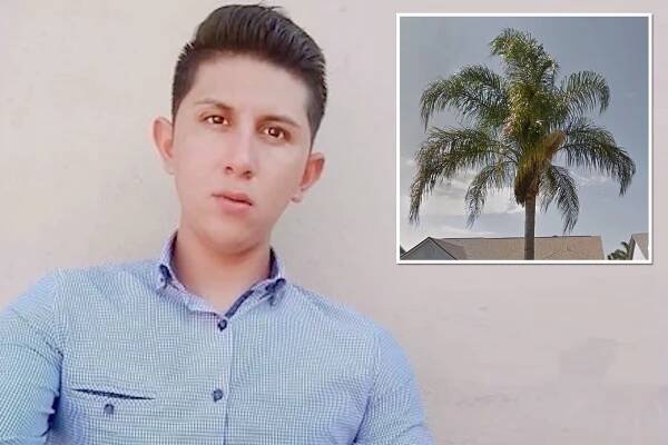 Landscaper Julio Cesar Lopez, 27, died on Saturday, four days after being struck by lightning while mowing a lawn next to a palm tree in New Smyrna Beach, Florida.