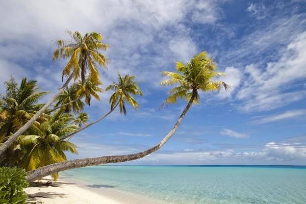 Vanuatu - Fidži - zájezd | CK Livingstone