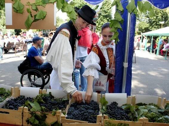Burčákové slavnosti zahájil průvod folkloristů Boršicemi
