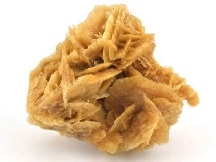 poustni ruze 52