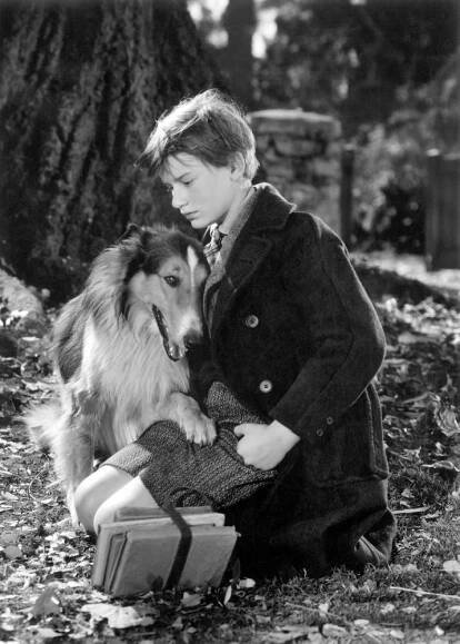 LASSIE COME HOME, Roddy McDowall, Lassie, 1943