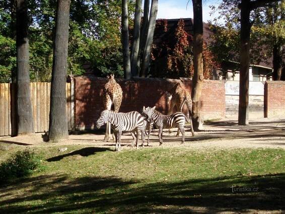 Zoo Liberec