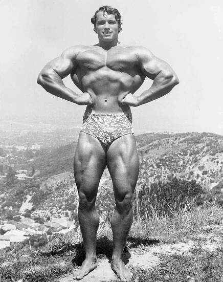 Full-length image of Austrian-born bodybuilder Arnold Schwarzenegger standing and flexing on top of a hillside near Muscle Beach, Santa Monica, California
