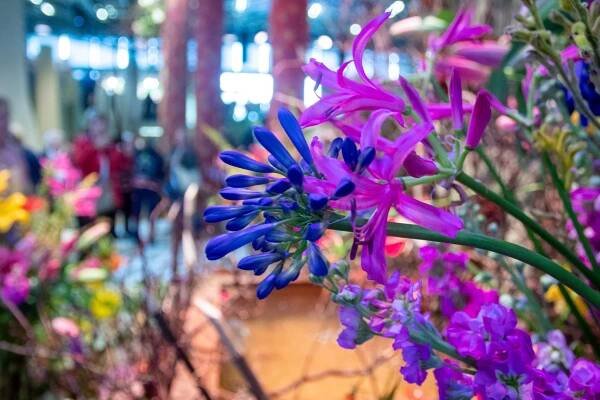 Obrazem: Jarní Flora plní výstaviště. Podívejte se - OLOMOUC.CZ