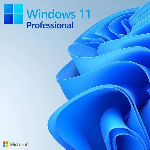 Microsoft Windows 11 Professional Key License for 1 PC 4