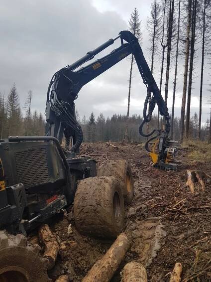 Prodej, pořez a výroba kulatiny, dřevin a řeziva - Bohdaneč, Kutná Hora | Dřevařské centrum
