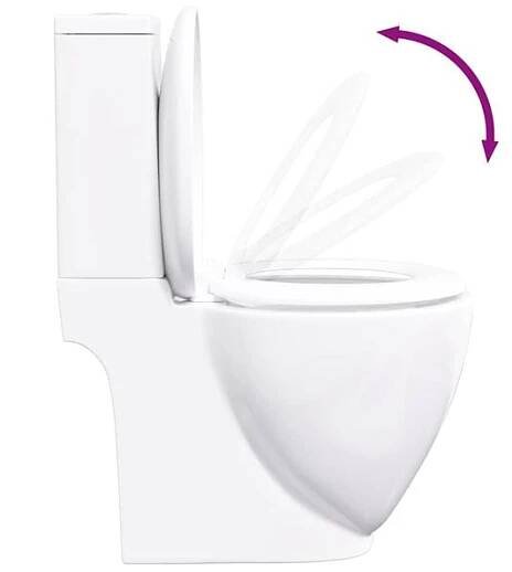 vidaXL Keramické WC zadní odpad bílé, Bílá