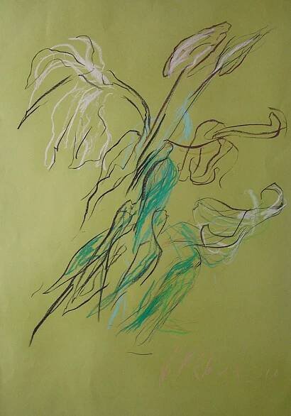 Galerie Roudnice | Jitka Válová / Lilie