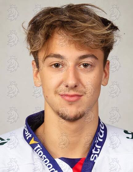 Fotobanka ČSLH