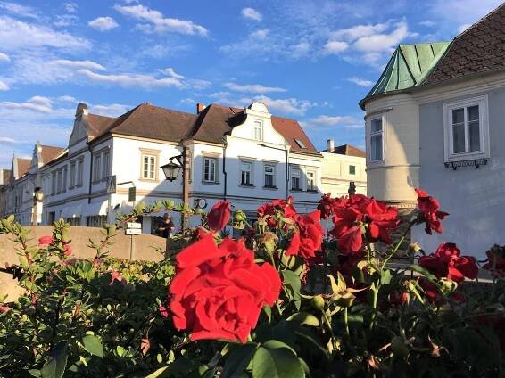 Langenlois hlavní město vína v Rakousku | Hana Machalová - Cestujte chytře, levně a často