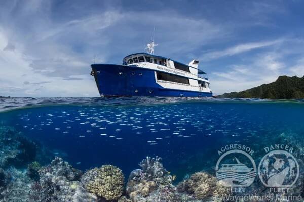 Raja Ampat Aggressor -25%