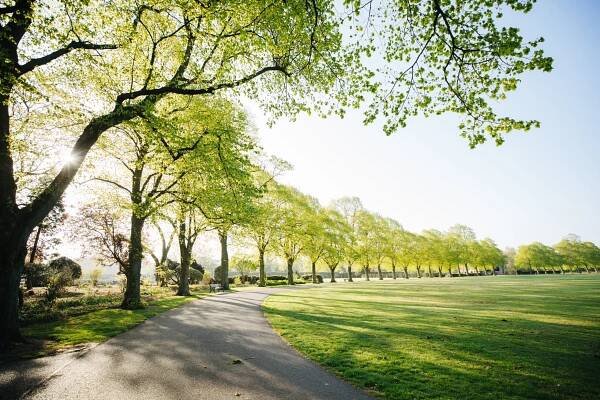 6 New Date Night Ideas in Hudson County
