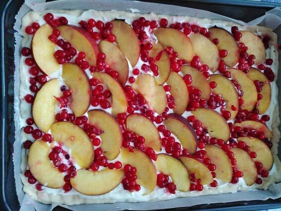 recept Kynutý táč s tvarohem a ovocem